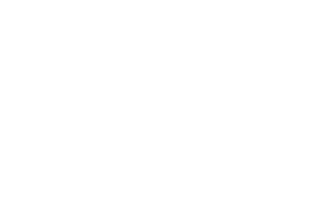 Wild Coast Sun